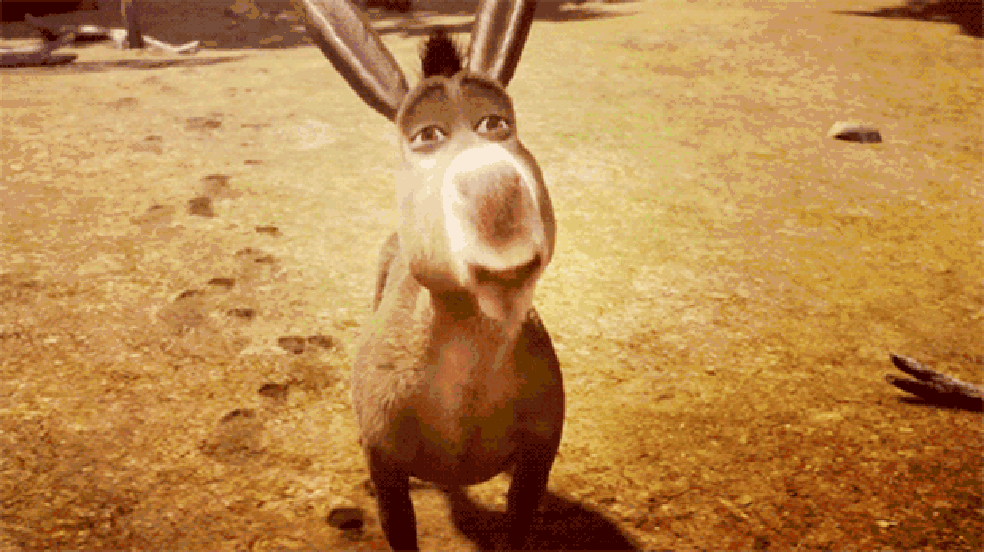 Burro (Foto: Reprodução) — Foto: Auto Esporte