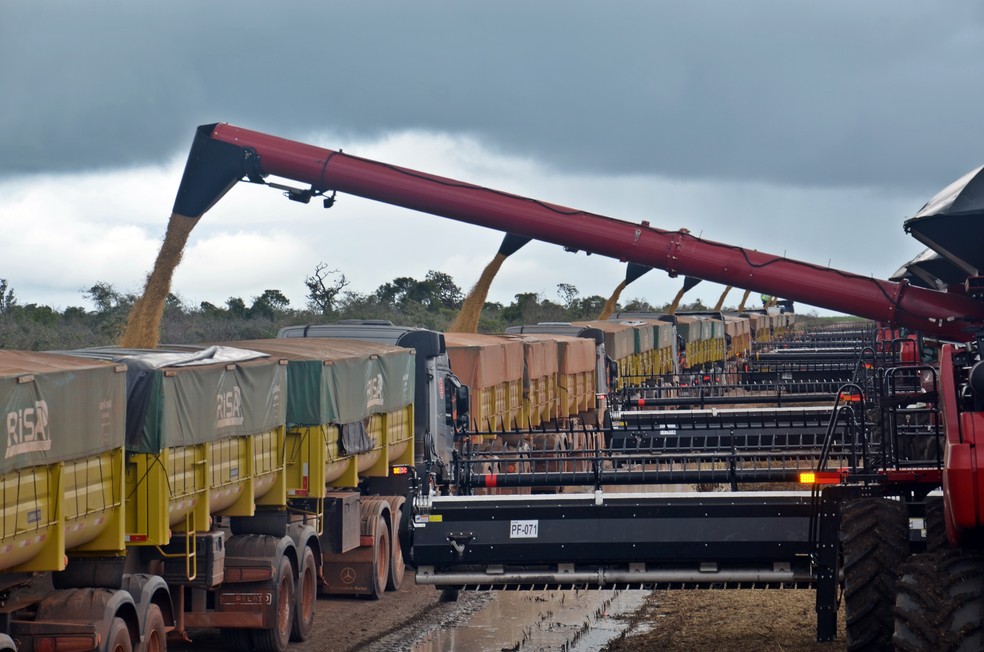 65% do transporte de cargas no Brasil são feitos por rodovias  — Foto: André Schaun 