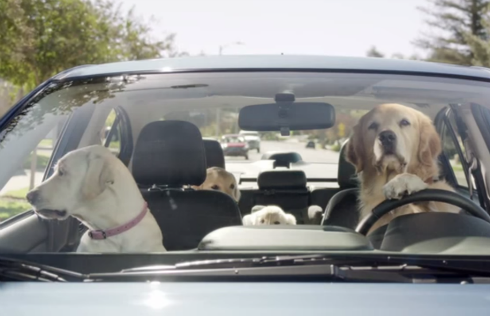 Subaru recria cenas automotivas com cachorros (Foto: Reprodução) — Foto: Auto Esporte