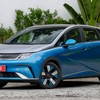 BYD Dolphin Plus traz mais performance e estilo ao compacto - Murilo Góes/Auto News Brasil