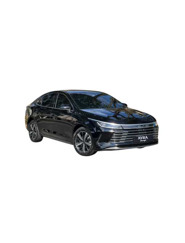 BYD King GS
