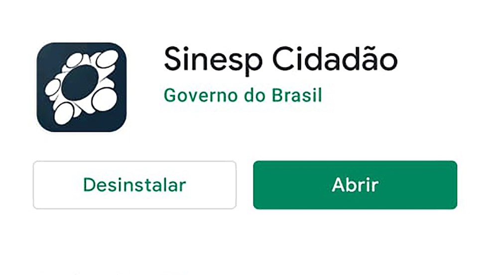 Aplicativo do Sinesp Cidadão — Foto: Google play
