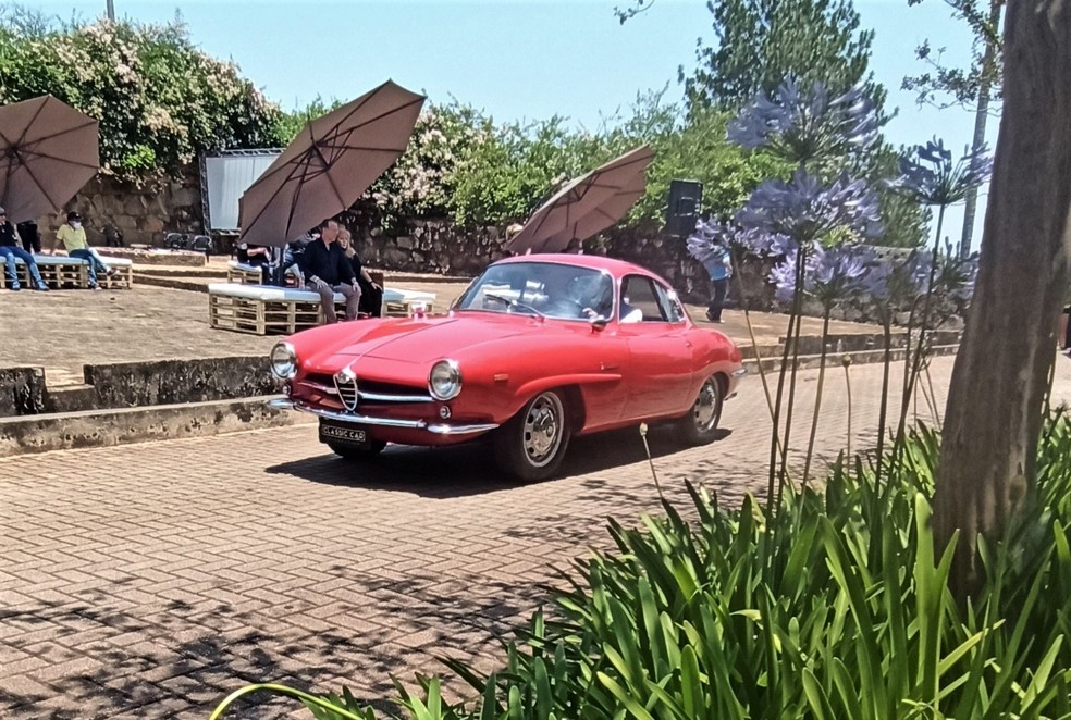 Raríssima Alfa Romeo Giulia SS  — Foto: Marcos Rozen/MIAU