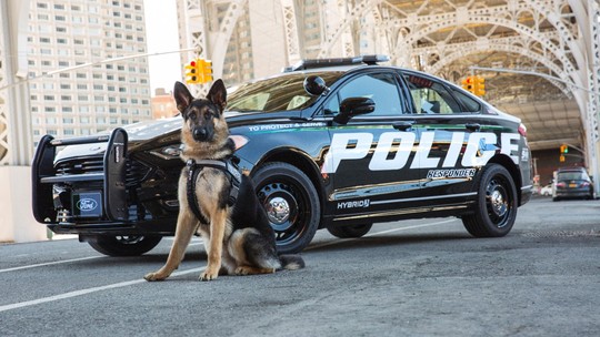Ford transforma Fusion híbrido em carro de polícia nos Estados Unidos