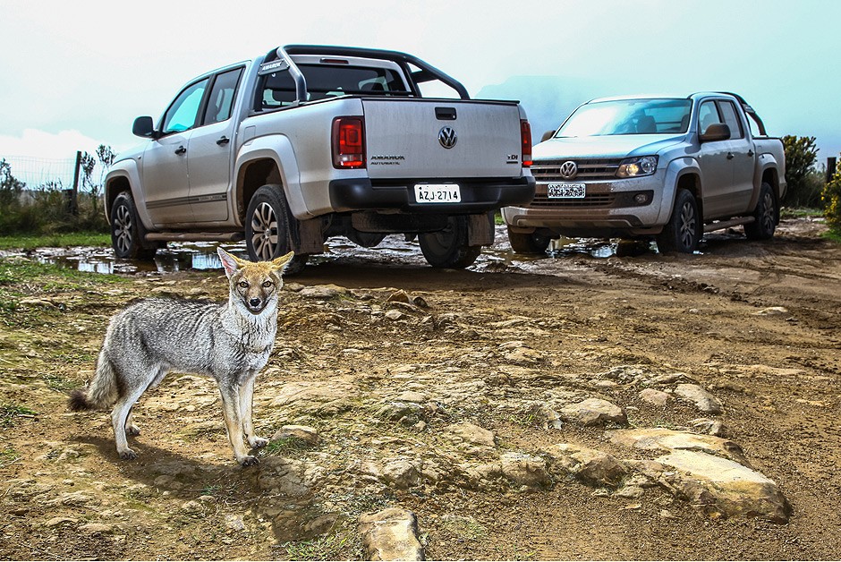 Volkswagen Amarok
