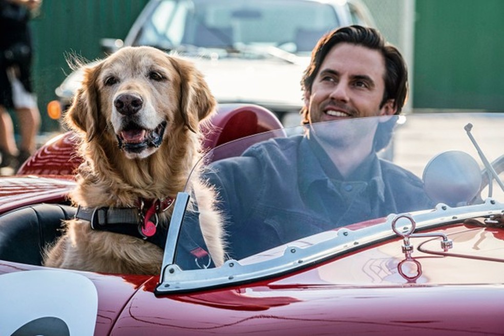Milo Ventimiglia interpreta Denny em "Meu Amigo Enzo" (Foto: Divulgação) — Foto: Auto Esporte