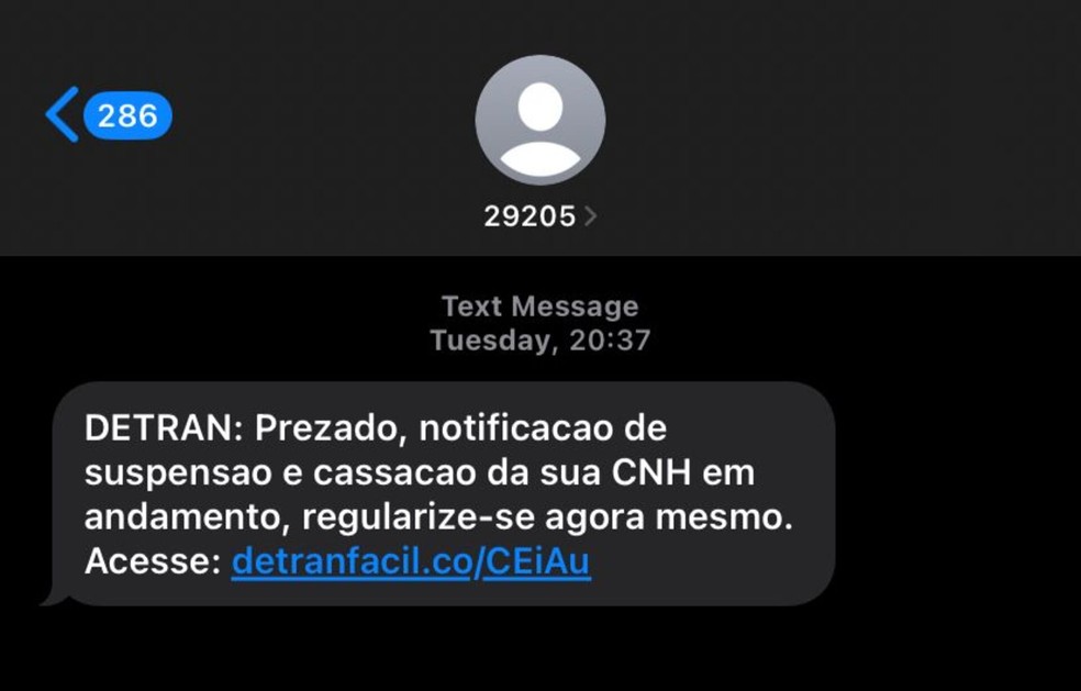 Golpe da CNH: notificações são enviadas para os condutores por mensagens SMS — Foto: Reprodução