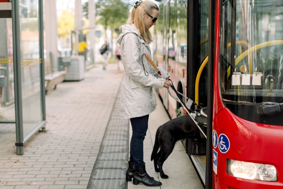 Não apenas motoristas de aplicativo, como qualquer transporte (público ou privado) deve aceitar a entrada de cães-guia — Foto: Getty Images
