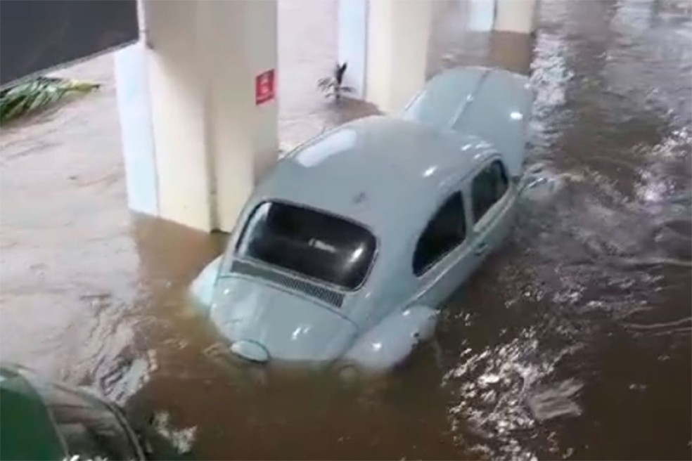 Enchente atinge coleção de Fusca na loja Alten Wagen, em Santana, São Paulo — Foto: Reprodução/Arquivo Pessoal