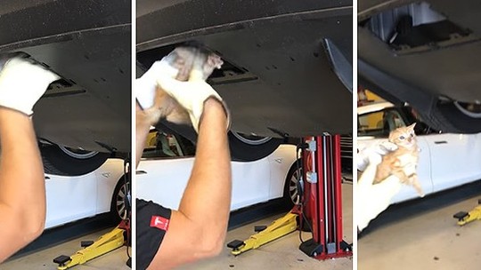 Vídeo: Gato é resgatado de para-choque de Tesla Model X por mecânico