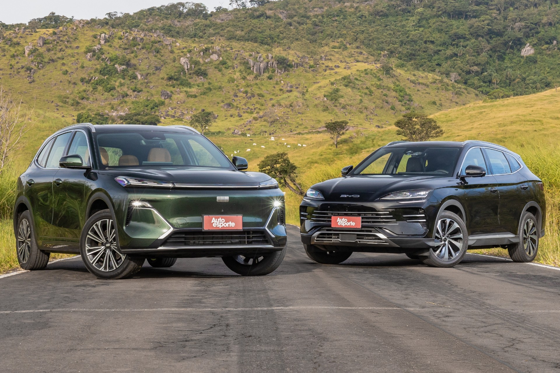 BYD Song Plus ou Geely EX5 EM-i: qual SUV híbrido é melhor até R$ 250 mil?