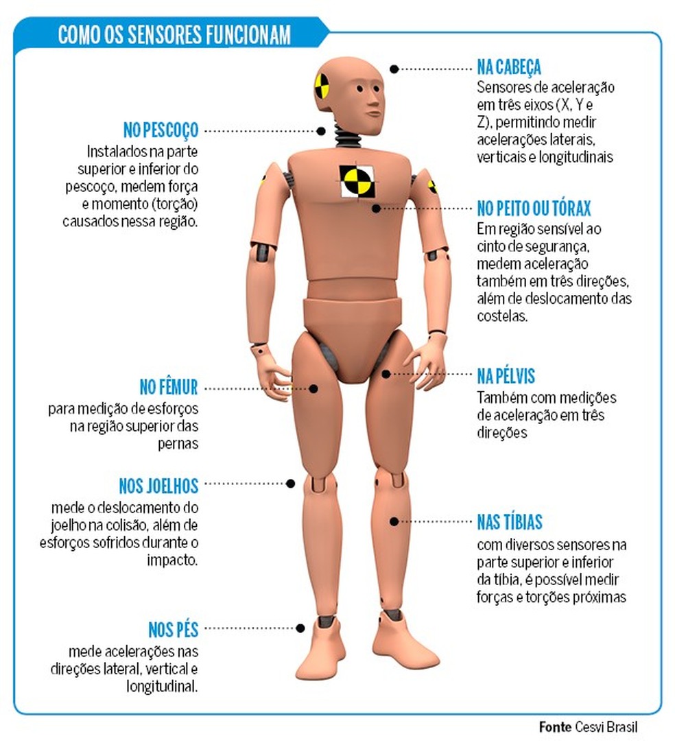 Especial_Dummy_Crash Test (Foto: Auto News Brasil/Cesvi) — Foto: Auto Esporte