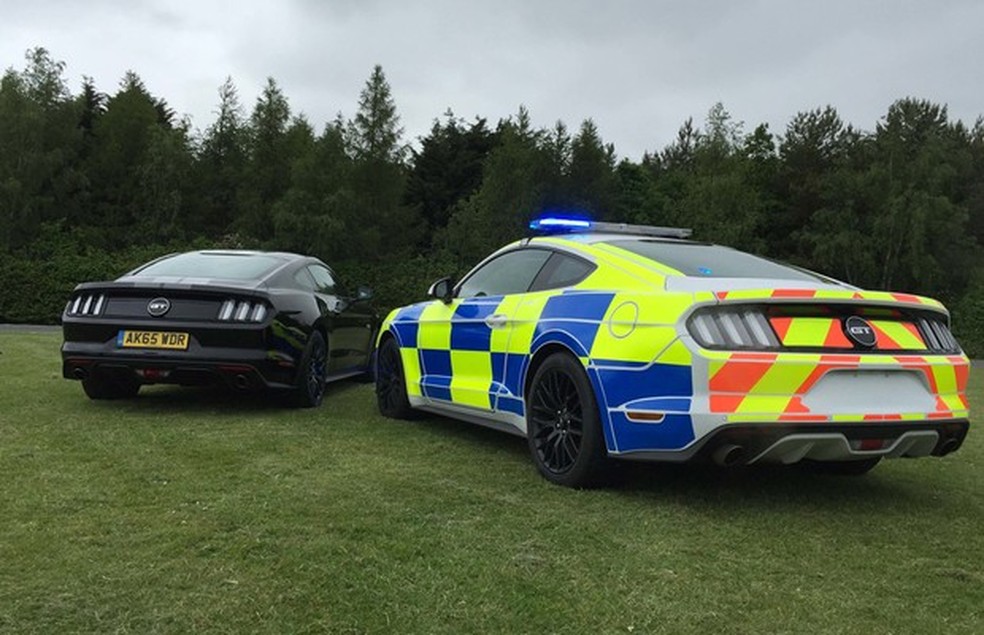 Estilo do Ford Mustang GT policial chama atenção pela pintura Battenburg (Foto: Divulgação) — Foto: Auto Esporte