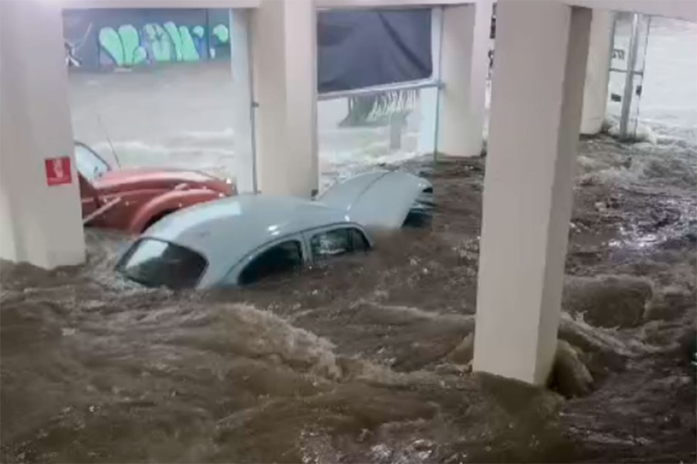 Show room da Alten Wagen tomada pela água no dia 24 de janeiro de 2025, em São Paulo — Foto: Reprodução/Arquivo Pessoal
