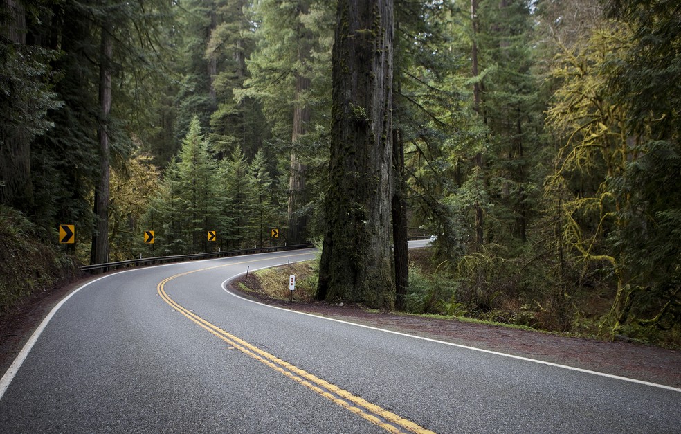 Rota 199, ou Redwood Highway, é uma estrada que liga a Califórnia ao Oregon  — Foto: Getty Images
