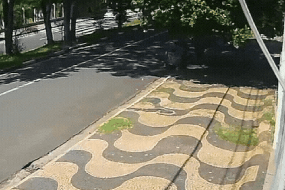 Vídeo: manobrista de loja destrói Ferrari de R$ 3,2 milhões em SP