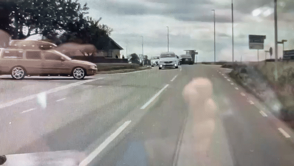 Inseguro? Tesla em modo autônomo evita acidente no último segundo; assista