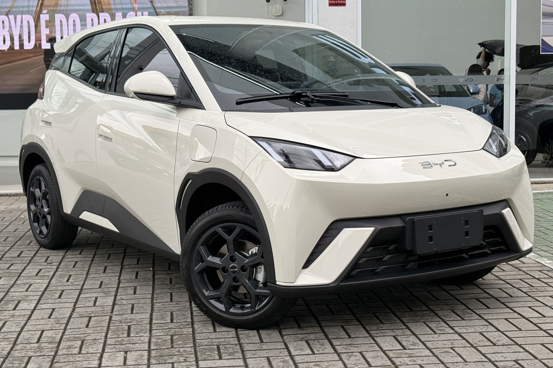novo byd dolphin