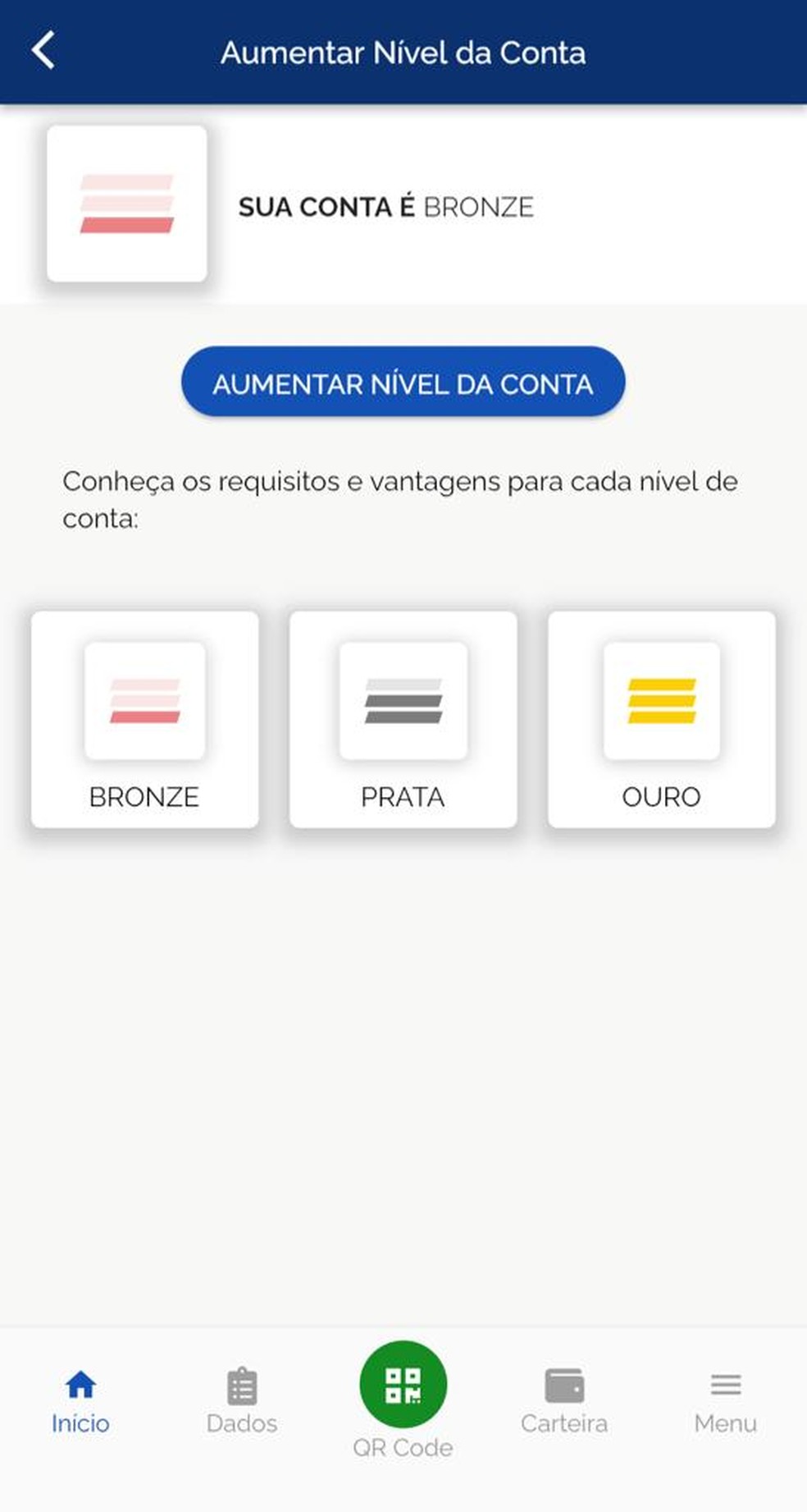 Status de nível no aplicativo gov.br — Foto: Auto News Brasil 