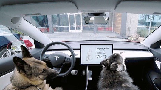 “Modo cão”: atualização da Tesla deixa o carro mais seguro para os cachorros