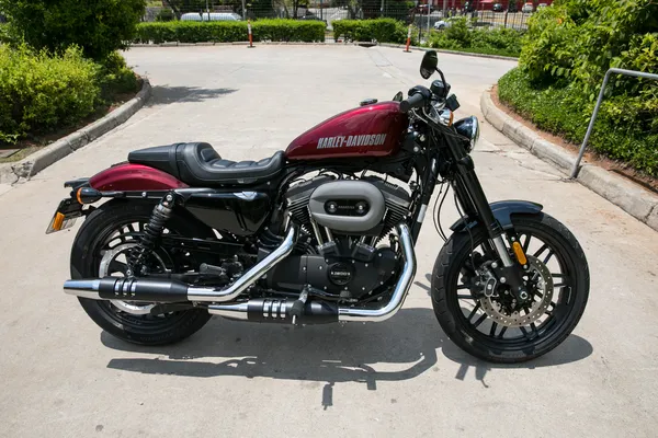 Sportster 1200 store roadster 2017