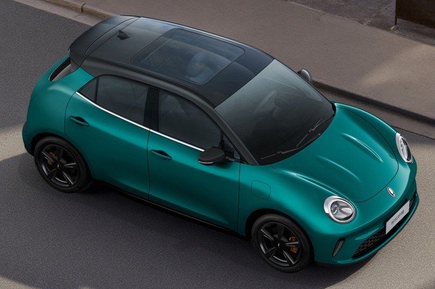 Facelift GWM Ora 03 Skin - oblíqua