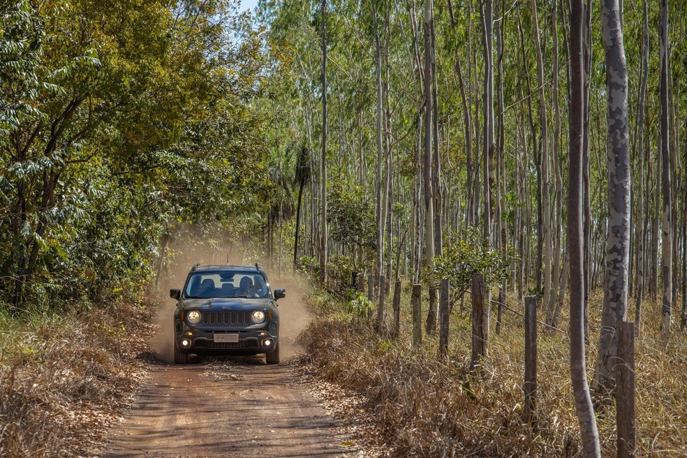 Em paz com a natureza (Foto: Marcos Camargo) — Foto: Auto Esporte