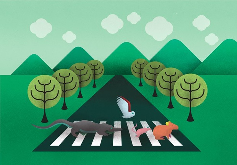 Animais na pista (Ilustração: Samuel Rodrigues) — Foto: Auto Esporte