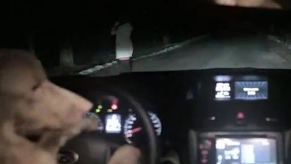 Cachorro dirige Subaru em comercial (Foto: Reprodução/YouTube) — Foto: Auto Esporte