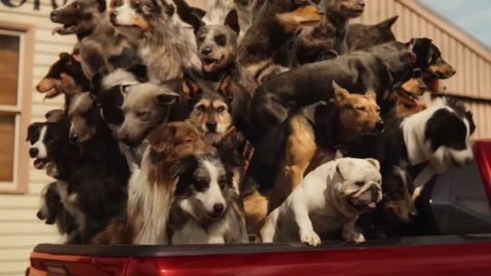 Toyota Hilux tem propaganda cancelada por cachorros 'empilhados' na caçamba