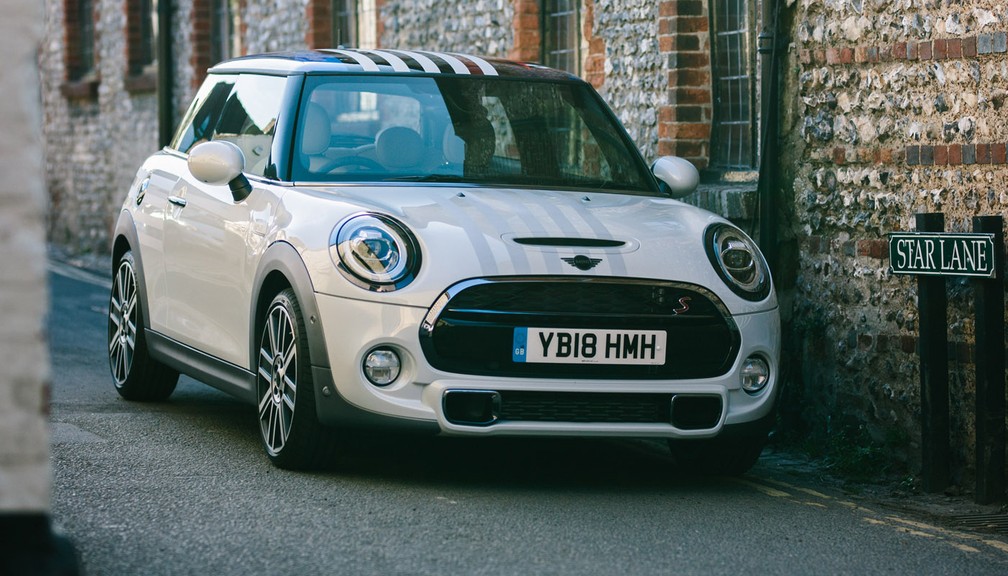 Mini produz modelo único que será leiloado — Foto: Divulgação