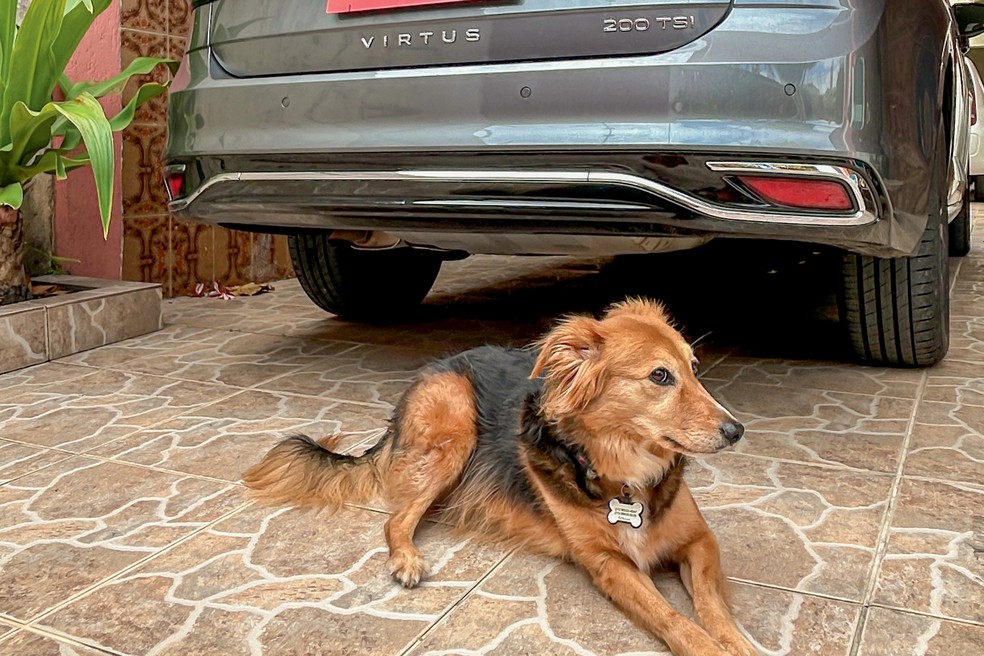 Virtus e Malu aproveitaram as festas de fim de ano para descansar — Foto: Demetrios Cardozo/Auto News Brasil
