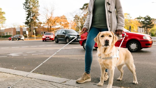 Uber lança recurso para usuários com deficiência visual e cão-guia; entenda