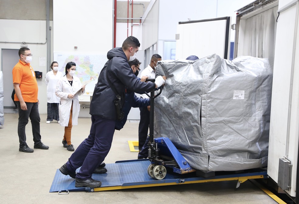 A logística de distribuição das vacinas fica a cargo do Ministério da Saúde — Foto: Divulgação 