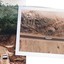 Article Photo