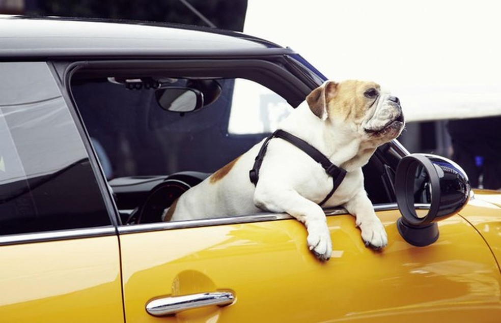 Mini Cooper 2015 (Foto: Divulgação) — Foto: Auto Esporte