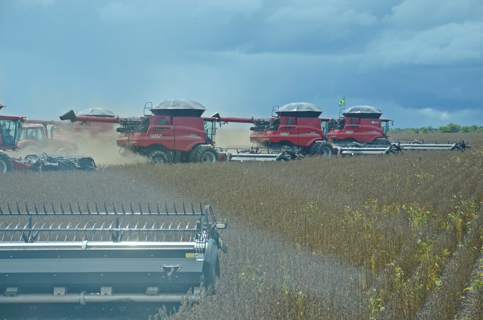 Colheitadeira de soja no Piauí máquina agrícola  — Foto: André Schaun 
