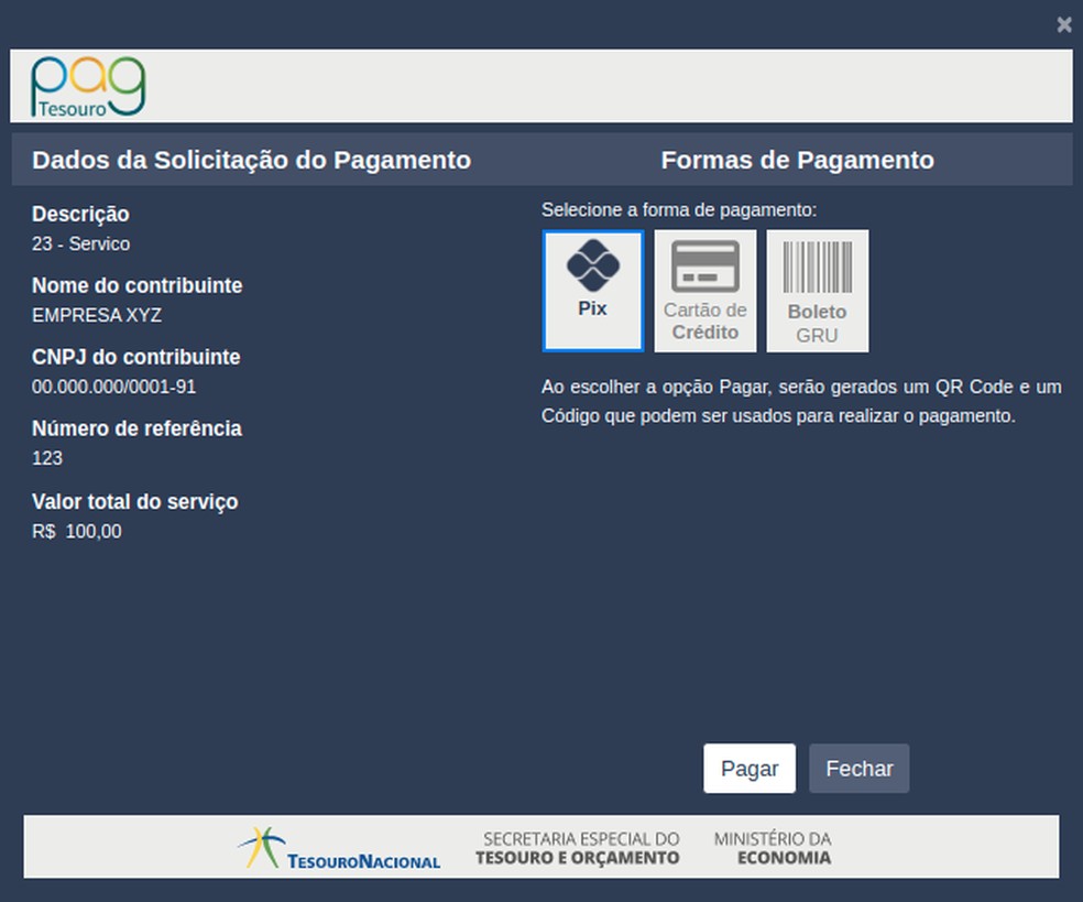 PagTesouro oferece opção de pagamento por Pix, cartão de crédito e boleto bancário — Foto: PagTesouro/Governo Federal