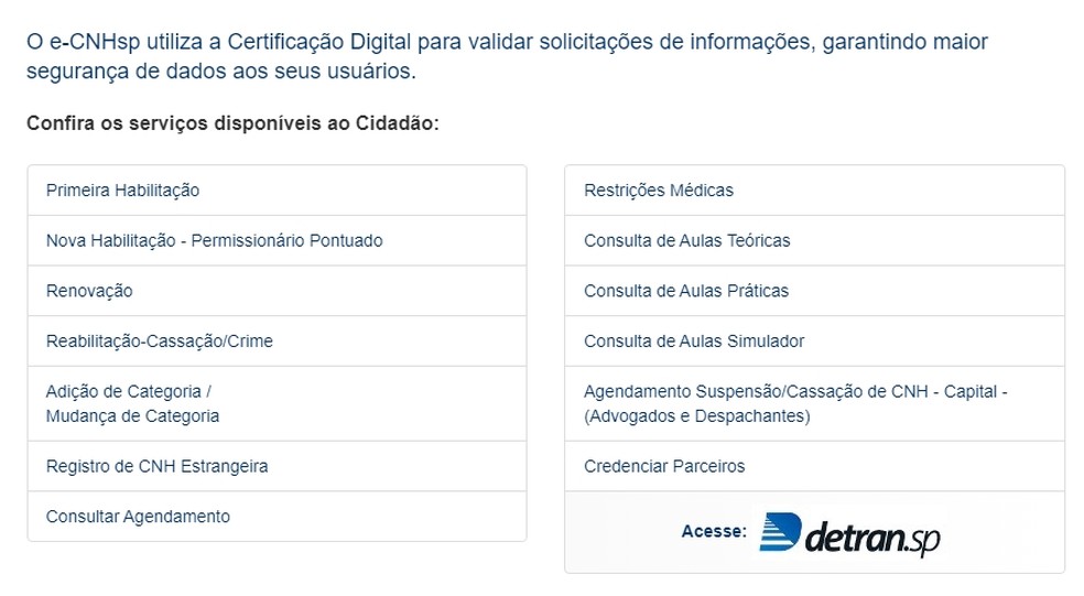 Esses são os serviços disponíveis no sistema e-CNH São Paulo  — Foto: Reprodução 