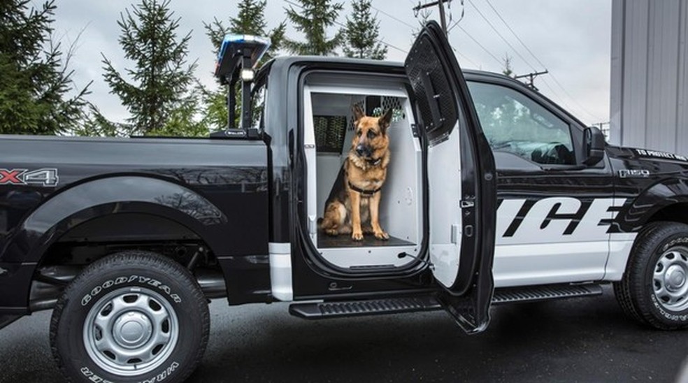 Ford F-150 ganha edição especial para polícia (Foto: Ford) — Foto: Auto Esporte