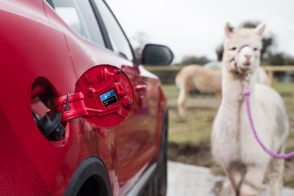 MG anuncia carro movido a cocô de alpaca no Dia da mentira — Foto: Divulgação