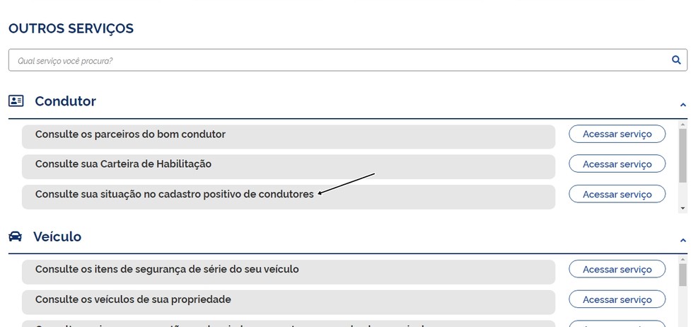 Mesmo se você fizer pelo site, vai precisa do celular para validar o nível prata  — Foto: Auto News Brasil 