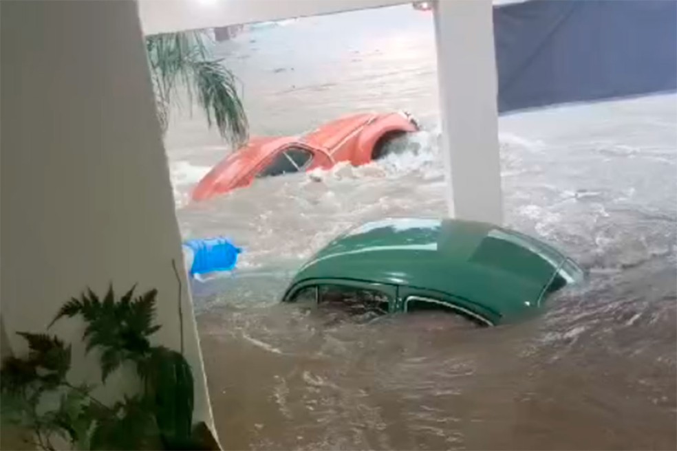 Enchente atinge coleção de Fusca na loja Alten Wagen, em Santana, São Paulo — Foto: Reprodução/Arquivo Pessoal