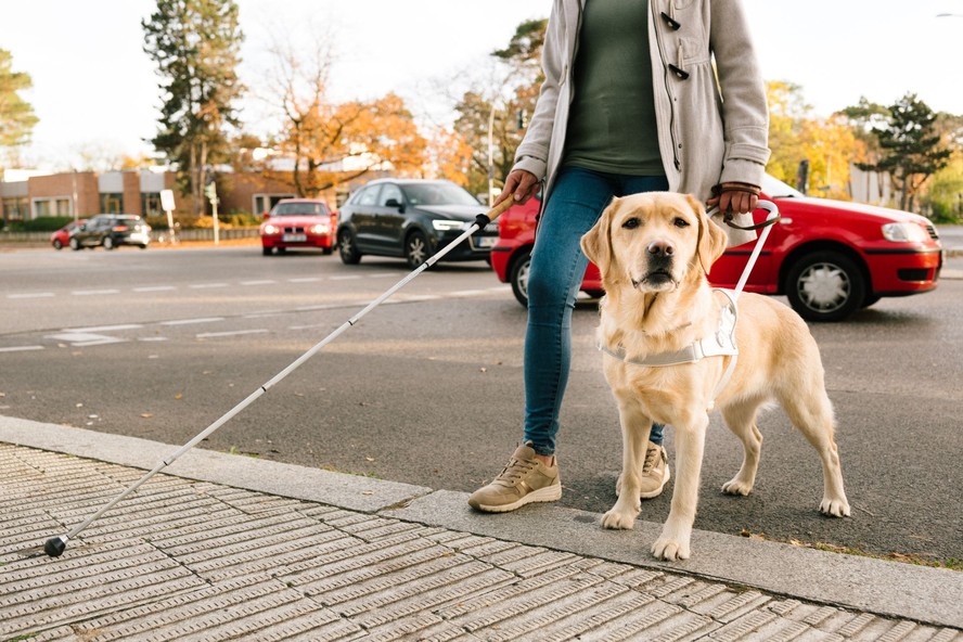 Uber terá recurso para que pessoas com cão-guia possam se identificar para motoristas do aplicativo; entenda