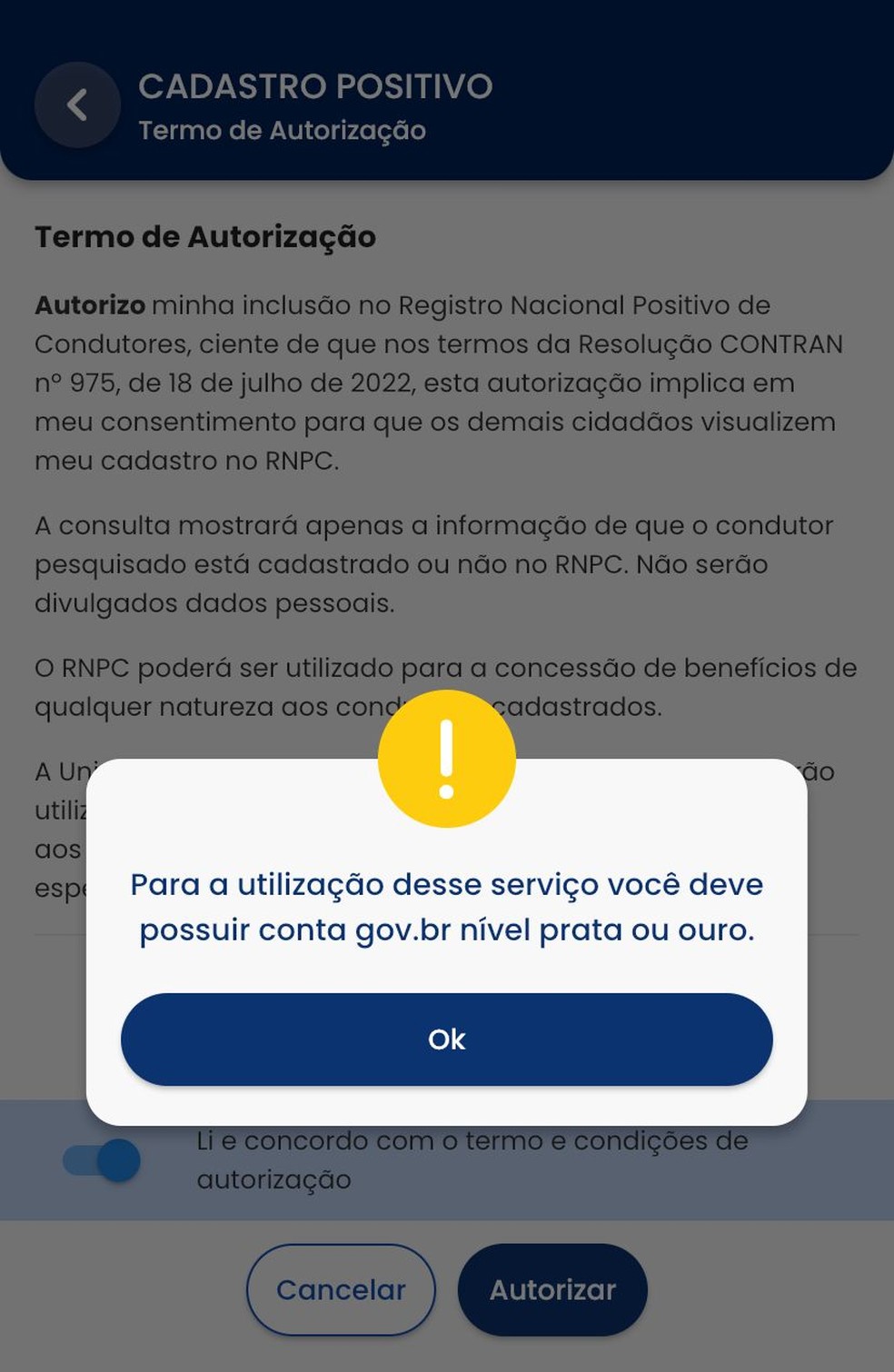 Passo 5  para o Registro Nacional Positivo de Condutores  — Foto: Divulgação 