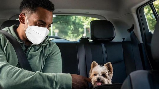 É possível transportar animais de estimação em corridas com a Uber?